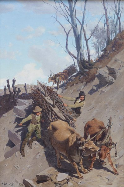 Passo difficile da Stefano Bruzzi