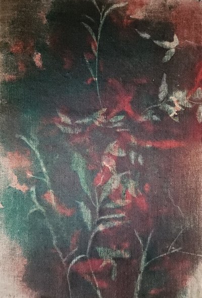 Serenità botanica oscura da Stefano Mazzolini