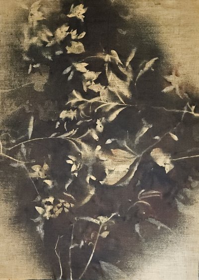 Ombre floreali suggestive da Stefano Mazzolini