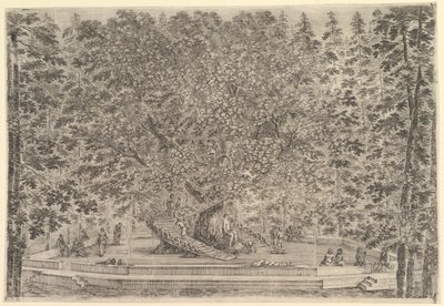 Un grande albero abitato al centro con rampe che girano intorno al tronco, sotto un sentiero di pietra..., ca. 1653 da Stefano della Bella