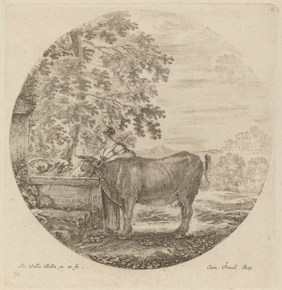 Mucca e giovane pastore a una fontana da Stefano della Bella