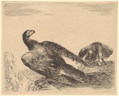 Aquila con le ali spiegate mentre si nutre, foglio 4 della serie "Aquila" da Stefano della Bella