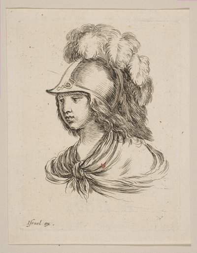 Testa di Minerva, da 