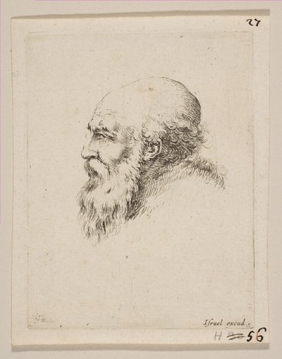 Testa di un vecchio calvo e barbuto di profilo, da Diversi capi e figure, 1650 da Stefano della Bella