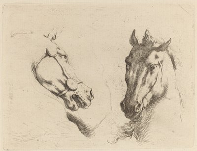 Testa di cavallo vista di profilo e in tre quarti da Stefano della Bella