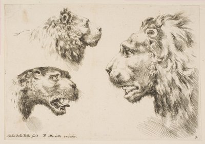 Teste di tre leoni, ca. 1641 da Stefano della Bella