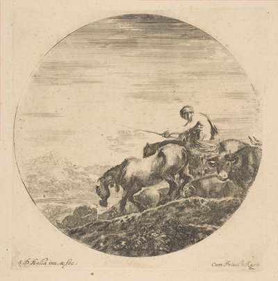 Mandriano a Cavallo Guida Animali da Stefano della Bella
