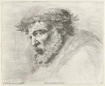 Testa di un vecchio con barba e corona d