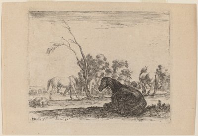 Cavalli in un Pascolo da Stefano della Bella