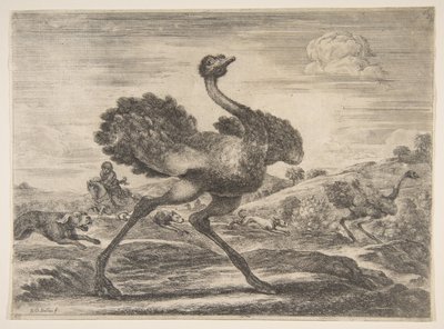 Caccia allo struzzo, da Cacce agli animali, ca. 1654 da Stefano della Bella