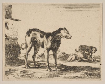 Tavola 11: cani, da Vari animali Diversi animali da Stefano della Bella