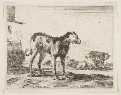 Tavola 11: cani, da Vari animali, ca. 1641 da Stefano della Bella