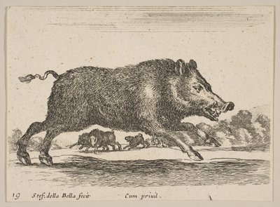 Piatto 19: cinghiale, da Vari animali da Stefano della Bella