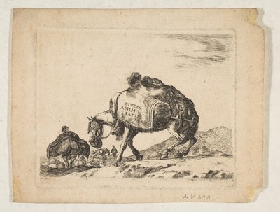 Tavola 1: un cavallo da soma, da 