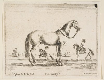 Tavola 21: cavallo, da Diversi animali, 1641 da Stefano della Bella