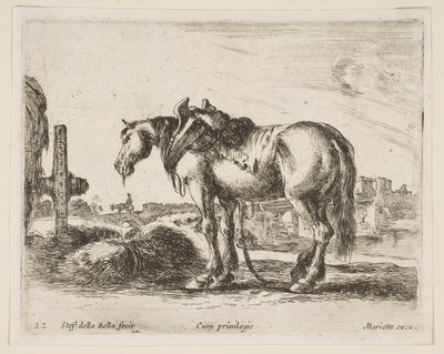 Tavola 22: cavallo da tiro, da Vari animali Diversi animali da Stefano della Bella
