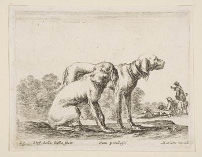 Tavola 23: due cani, da Vari animali da Stefano della Bella