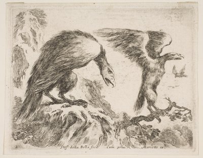 Tavola 2: aquila e aquilotto, da Vari animali, ca. 1641 da Stefano della Bella