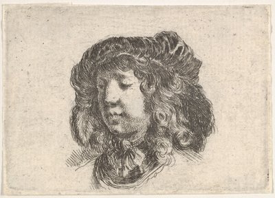 Testa di un giovane con un cappello adornato di alcune piume, girato tre quarti, ca. 1646 da Stefano della Bella