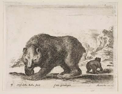 Tavola 4: orso, da 
