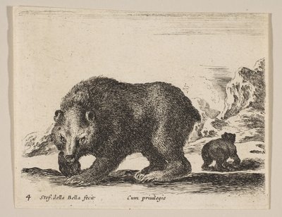 Tavola 4: orso, da 