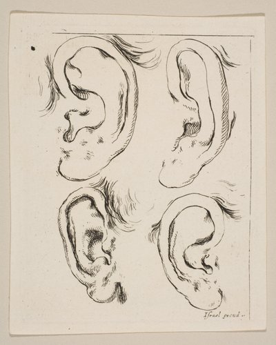 Tavola 5: quattro orecchie, da Il Libro per Imparare a Disegnare, ca. 1649 da Stefano della Bella