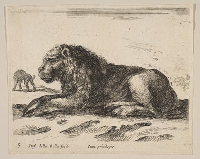 Tavola 5: leone sdraiato, da Vari animali Diversi animali, ca. 1641 da Stefano della Bella