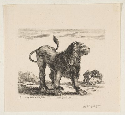 Tavola 6: leone, da 