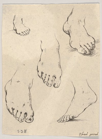 Tavola 7: Cinque piedi, da Il Libro per Imparare a Disegnare da Stefano della Bella