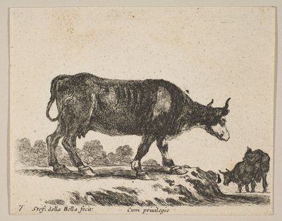 Mucca da Stefano della Bella