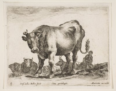 Tavola 8: mucca, da Vari animali Diversi animali, ca. 1641 da Stefano della Bella