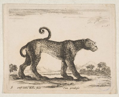 Tavola 9: leopardo, da 