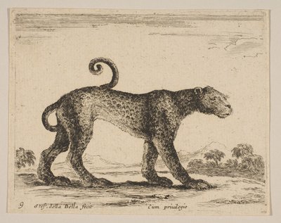 Tavola 9: leopardo, da Vari animali Diversi animali, ca. 1641 da Stefano della Bella