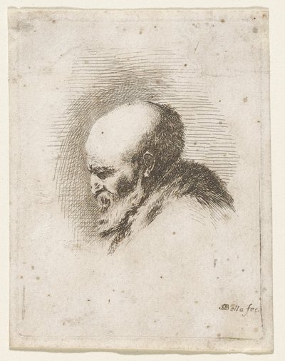 Testa di vecchio calvo e barbuto da Stefano della Bella