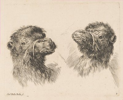 Due teste di cammello, ca. 1641 da Stefano della Bella
