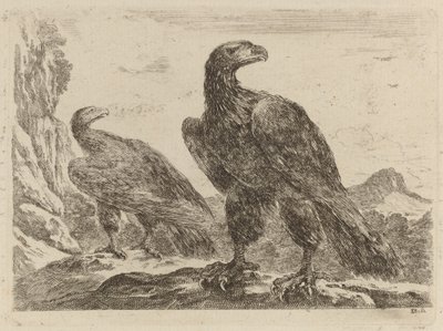Due aquile, entrambe con la testa girata a destra da Stefano della Bella
