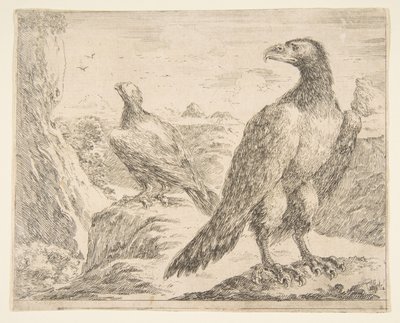 Due aquile, da Aquile Les aigles, ca. 1651 da Stefano della Bella