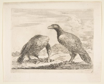 Due aquile, una che divora un agnello, dalle Aquile, ca. 1651 da Stefano della Bella