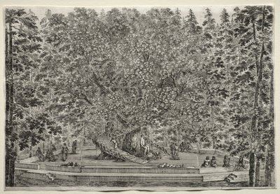 Vedute della Villa di Pratolino: l