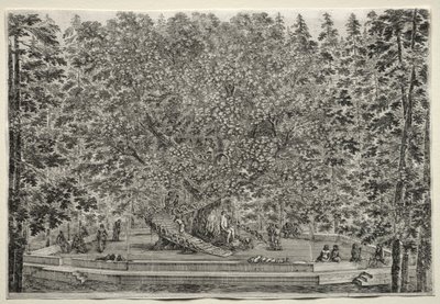 Vedute della Villa di Pratolino: L