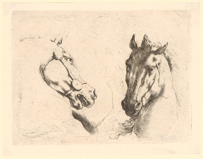 Due teste di cavallo, tavola 1 della serie «Varie teste di animali» da Stefano della Bella