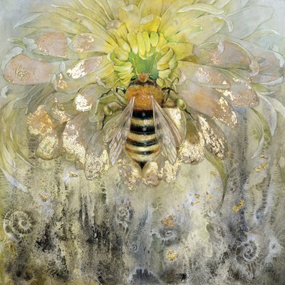  da Stephanie Law