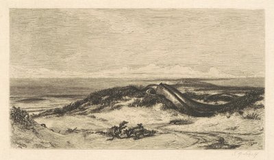 Il serpente marino da Stephen Alonzo Schoff, after Elihu Vedder