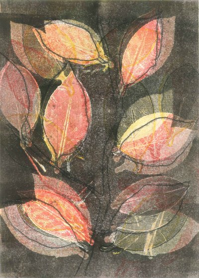 Giardino di mezzanotte V, 2015 (monostampa su carta) da Stephen Dow