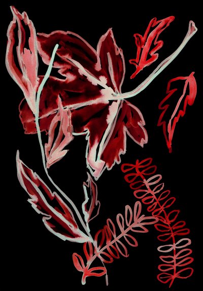 Flora notturna I, 2018 (digitale) da Stephen Dow