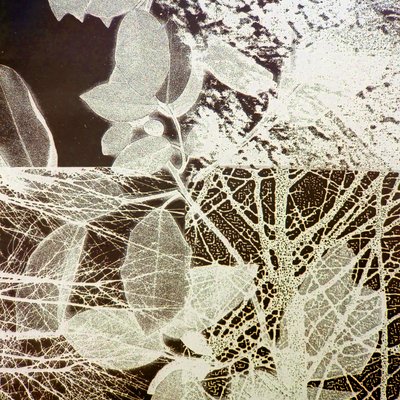 Foresta notturna, 2018 (digitale) da Stephen Dow