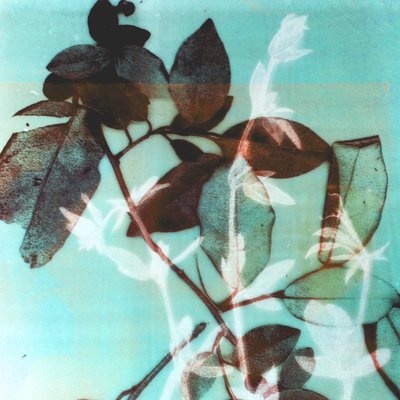 Stagione III, 2018 (digitale) da Stephen Dow