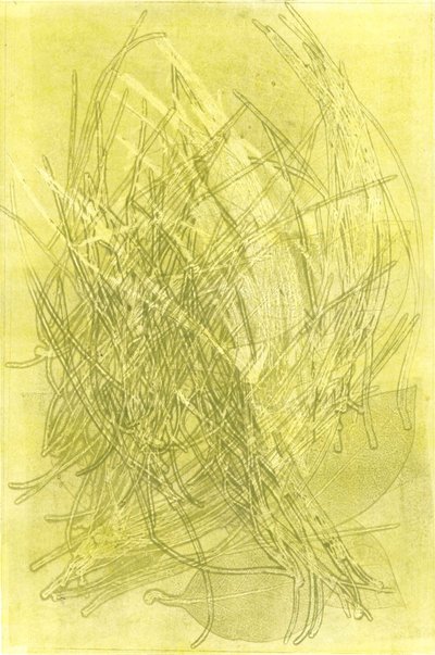 Giardino d