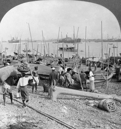Porto di Rangoon sul fiume Irawaddy, Birmania, 1908 da Stereo Travel Co