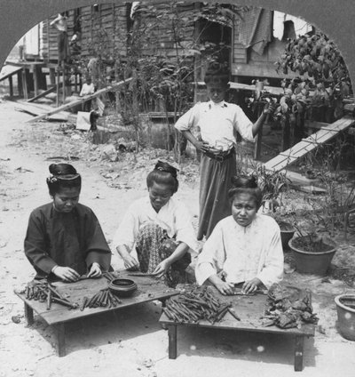 Produzione dei grandi sigari fumati dalle donne, Birmania, 1908 da Stereo Travel Co
